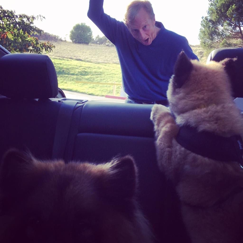 Tom Steyer and his dogs Togo and Zippy